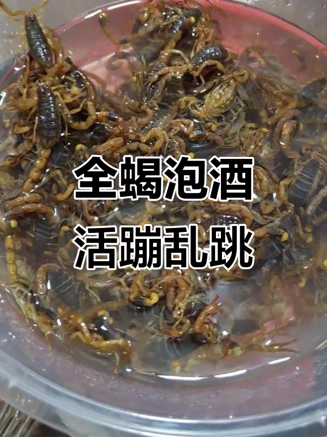 活蝎子泡酒的制作方法