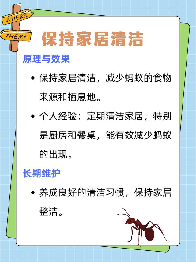 家里有蚂蚁怎么彻底消灭