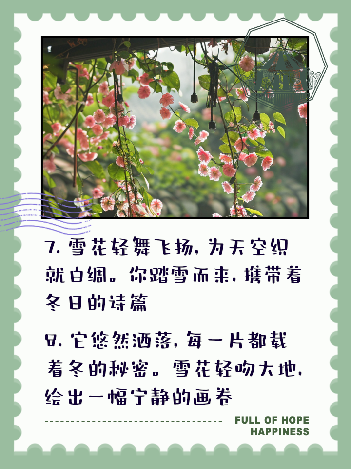 东南网